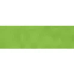 Amscan 54 X 108 Kiwi Plastic Tablecover 12/Pack (77015.53)