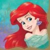 Amscan Disney Princess Once Upon A Time Ariel Lunch Napkins (16ct)