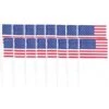 Amscan Flag Picks, 2.5" 144-Pack, American
