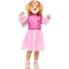 Amscan Paw Patrol Skye Costume