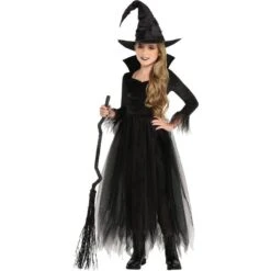 AMSCAN Kids' Fairytale Witch Costume